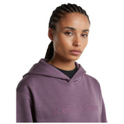 Dámska funkčná mikina Icebreaker W Mer 360 RealFleece Elemental LS Hood