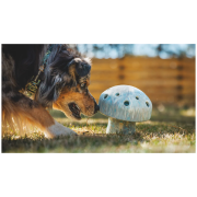 Hračka pre psa Ruffwear Porchini™