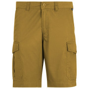 Pánske kraťasy Regatta Ruwan Shorts