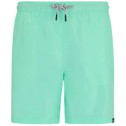 Pánske kraťasy Regatta Mackleyna Swim Short