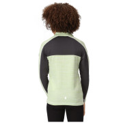 Detská mikina Regatta Hewley