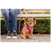 Vôdzka pre psa Curli Stretch Comfort Leash