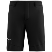 Pánske kraťasy Salewa Agner Dst M Shorts.