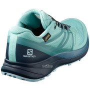 Dámské topánky Salomon Sense Ride 2 Gtx Invis Fit W