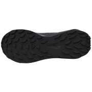 Dámske topánky Salomon Alphaglide Gore-Tex