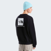 Pánska mikina The North Face M Evolution Box Nse Regular Crew