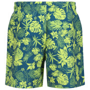 Pánske kraťasy Regatta Loras Swim Short m