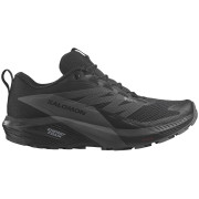 Dámske bežecké topánky Salomon Sense Ride 5 Gore-Tex