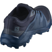 Pánske topánky Salomon Wildcross Gtx