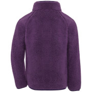Detská mikina Didriksons Gibbs Kids Fullzip 2 Northen Purple