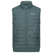 Pánska vesta Regatta Hillpack B/W