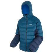 Pánska bunda Regatta Hooded Dalent