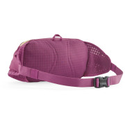 Ľadvinka Patagonia Terravia Hip Pack