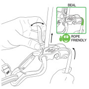 Istiacia brzda Beal Birdie