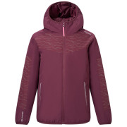 Detská zimná bunda Regatta Illuma Reflective Jacket Fig vínová Fig
