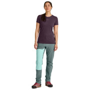 Dámske nohavice Ortovox Brenta Pants W