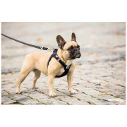 Vôdzka pre psa Curli Adjustable Leash Nylon