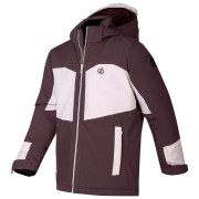 Detská bunda Dare 2b Rip It Jacket Hucklbr/PkHz