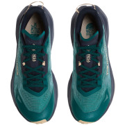 Pánske bežecké topánky The North Face M Altamesa 300 V2