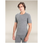Pánske tričko Icebreaker Men 200 Oasis SS Crewe
