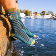 Pánske ponožky Darn Tough Wild Life Crew Lightweight With Cushion