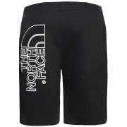 Pánske kraťasy The North Face Graphic Short Light-Eu