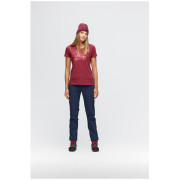 Dámske nohavice Salewa W Terminal Pant