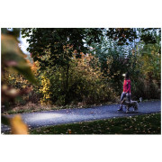 Čelovka Ledlenser HF4R Core