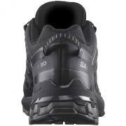 Pánske turistické topánky Salomon Xa Pro 3D V9 Gore-Tex