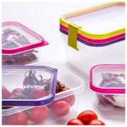 Box na potraviny Omada Sanaliving Box Set 19x14x6,5cm/1L + 2x 11,5x8x5cm/0,2L