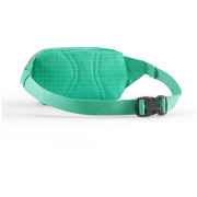 Ľadvinka Patagonia Terravia Mini Hip Pack