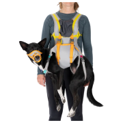 Postroj na psa Ruffwear BackTrak™ Dog Evacuation Kit sivá/oranžová Cloudburst Gray