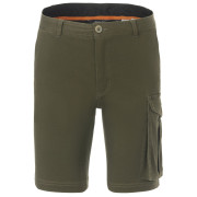 Pánske kraťasy Regatta Bendrick Shorts zelená Dark Khaki