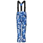 Detské nohavice Dare 2b Pow Pant