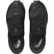 Dámske topánky Salomon Wildcross Gtx