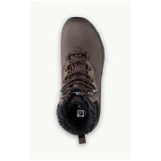 Pánske zimné topánky Jack Wolfskin Everquest Texapore High M
