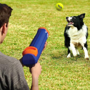 Hračka pre psa Nerf Dog Blaster + Tennis Balls 3 pcs