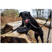 Miska pre psa Mountain Paws Collapsible Dog Food Bowl