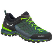 Pánske topánky Salewa Ms Mtn Trainer Lite Gtx