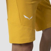 Pánske kraťasy Salewa Agner Dst M Shorts.