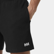 Pánske kraťasy Helly Hansen Hh Terry Loop Shorts