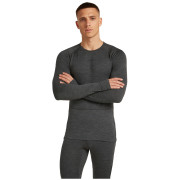 Pánske tričko Icebreaker Men Merino 260 ZoneKnit LS Crewe