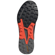 Pánske topánky Adidas Terrex Agravic Flow 2 GTX
