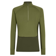Pánske funkčné tričko Icebreaker Men Mer 200 ZoneKnit LS Half Zip tmavozelená Dkloden/Spha/Cb