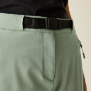 Dámske nohavice Dare 2b Melodic Pro II Trouser