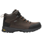 Pánske pohorky Regatta Burrell Leather Boot II tmavohnedá Peat