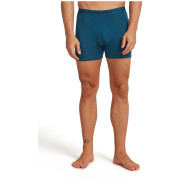Pánske boxerky Icebreaker Men Merino 150 Anatomica Boxers