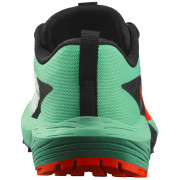 Dámske bežecké topánky Salomon Sense Ride 5