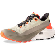Pánske bežecké topánky Dynafit Ultra 100 V3 béžová Rock Khaki/Overcast