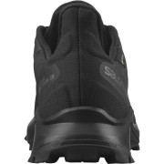 Dámske topánky Salomon Alphacross 3 Gore-Tex W